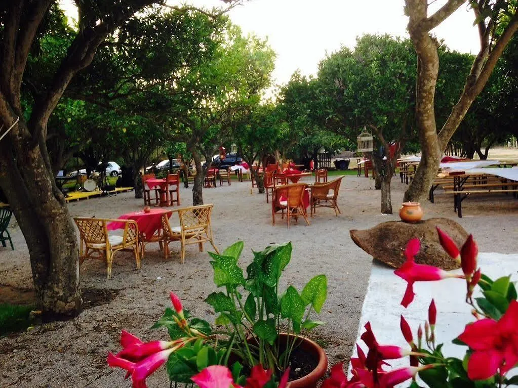 Nocleg ze śniadaniem La Purissima Bed and Breakfast Alghero Włochy